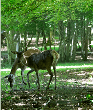 Boucle cyclo 9 'Du minéral au végétal' (moyenne boucle) - BESANCON