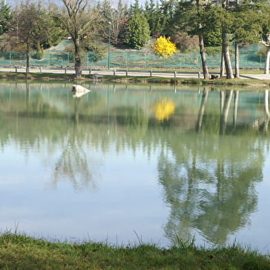 Parcours VTTAE 21 bleu - La Michaille / Vouvray - Espace FFC Ain Forestière
