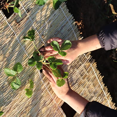 EXPOSITION PAYSAGES ALIMENTAIRES