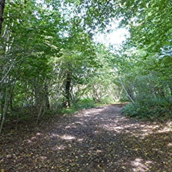 La Mer - FAUCOGNEY-ET-LA-MER