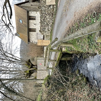 Chemin des chétifs bois