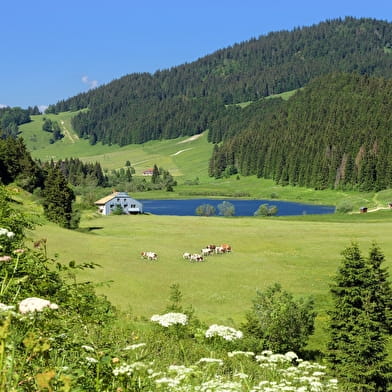 Boucle 8 : Saint-Claude-Hautes Combes