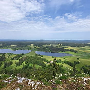 Accès direct à la Roche Bernard - BELLEFONTAINE