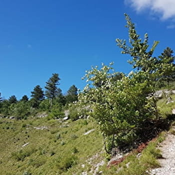 Circuit de la Coquille - AIGNAY-LE-DUC