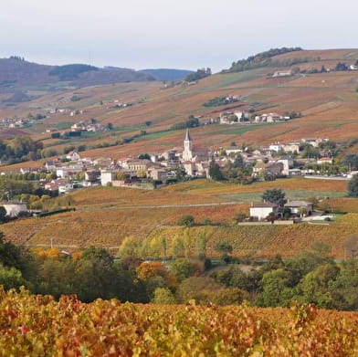 Circuit de la Montagne de Remont