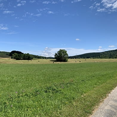 Randonnée - Le circuit des quatre villages