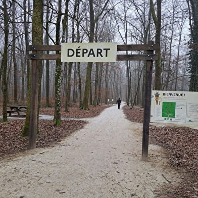 Balade et parcours d'activités en forêt de Seillon