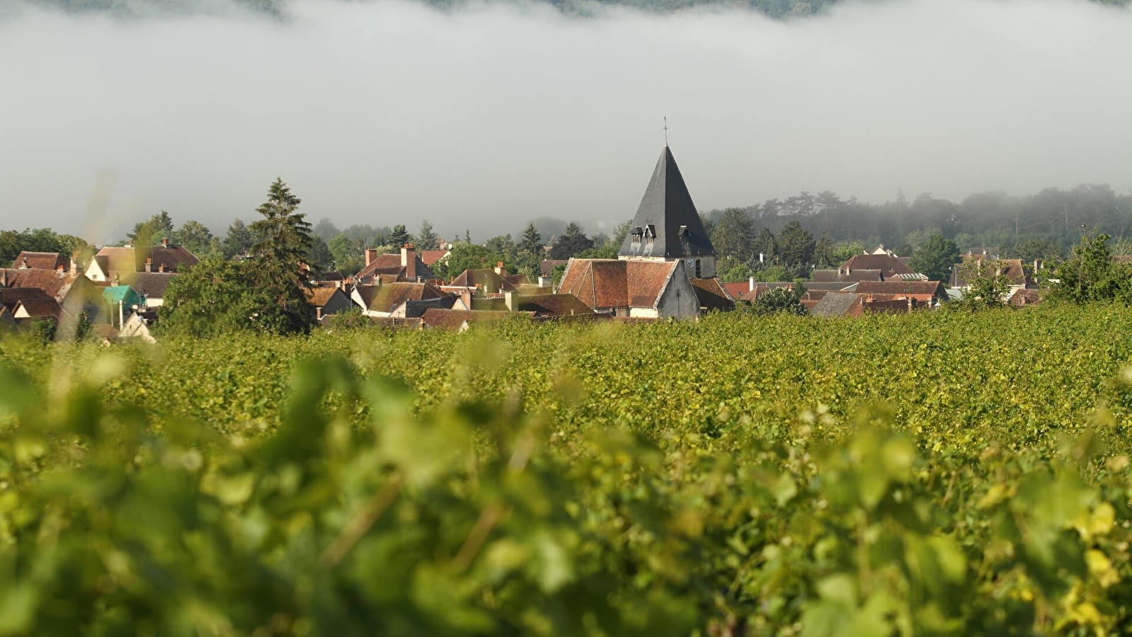 Le balcon du Tonnerrois