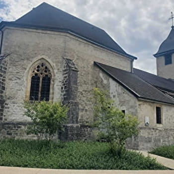 Randonnée - Le Plateau de la Belloire - IZERNORE