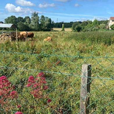 La grande boucle de Saint-Martin-Belle-Roche