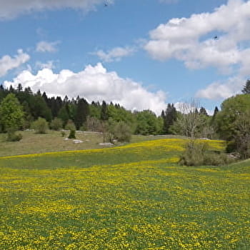 Les Préhez - MORBIER