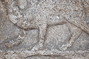 Visite guidée  sur le thème du bestiaire - SEMUR-EN-AUXOIS