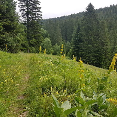 Crêtes franco-suisses - n°35