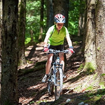 Sur la Doye - 4B - FONCINE-LE-HAUT