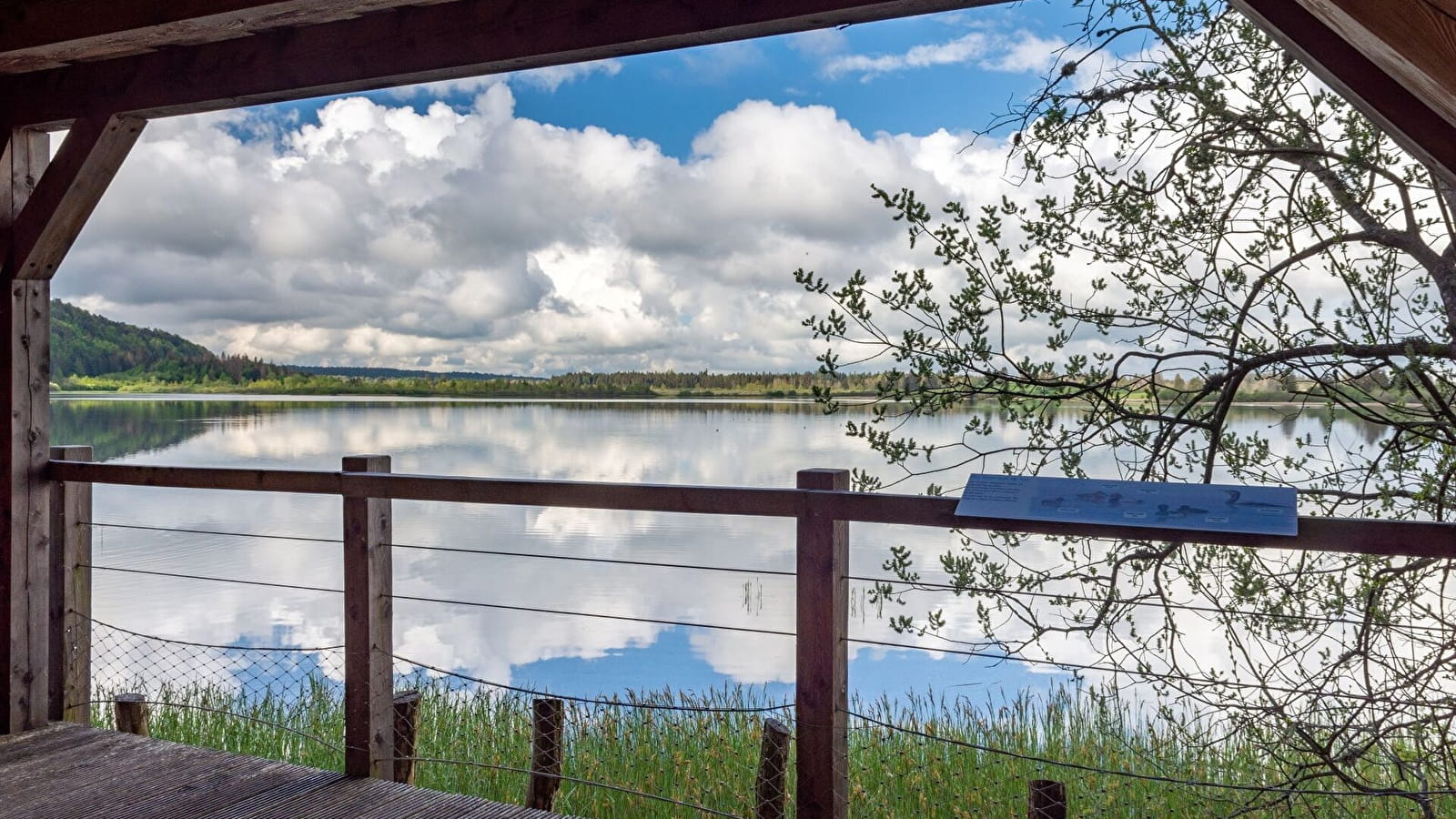 Découverte des Rives du lac de Bouverans