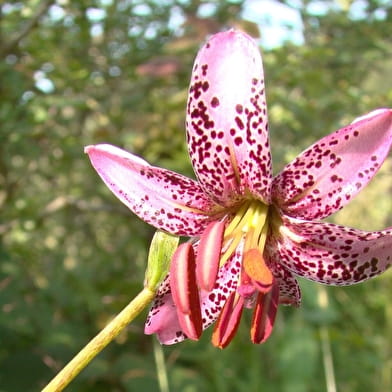 Sur les pas des contrebandiers