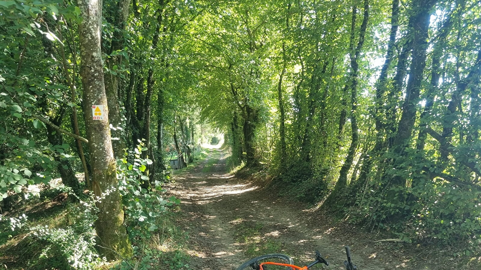 Circuit Gravel n°4 (rouge) - La Voie Royale des bois de But