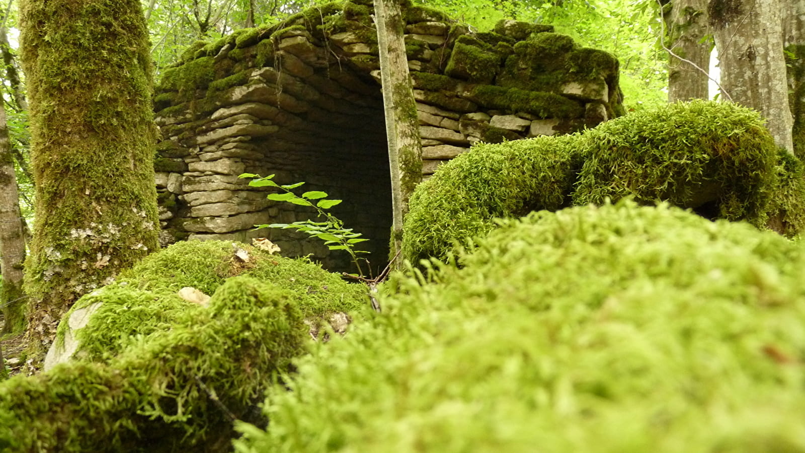 Sentier des pierres sèches