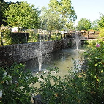 Le bois de Mongin - LA CELLE-EN-MORVAN