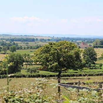 Escapade entres collines et bocage - ANZY-LE-DUC