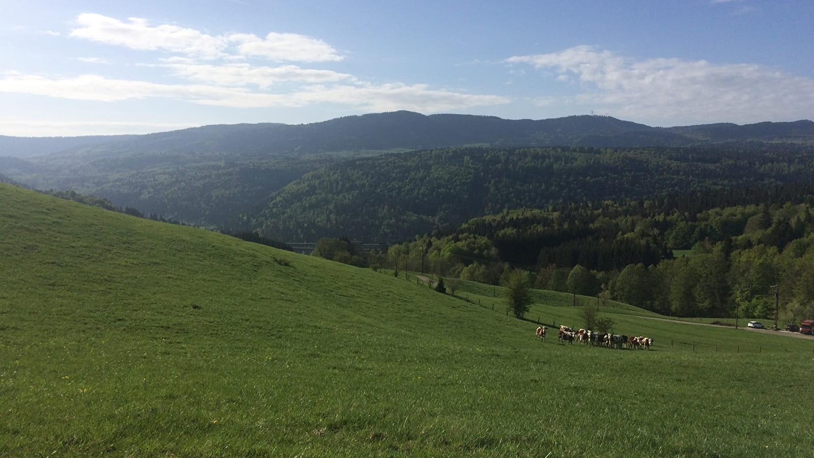 Le tour du plateau - Parcours de trail n°6