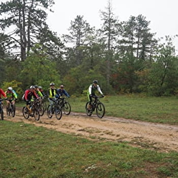 Parcours du Bois des Tilles - IS-SUR-TILLE