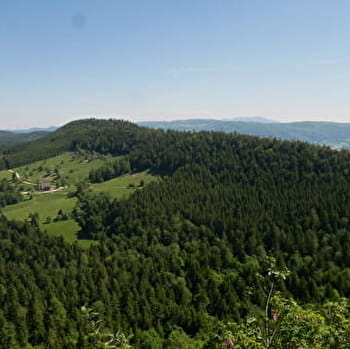 Randonnée - Le Belvédère de Planachat - PLATEAU D'HAUTEVILLE