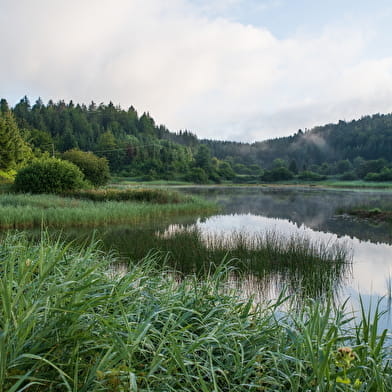 Parcours Gravel 17 rouge - Le Tour des Monts d'Ain - Espace FFC Ain Forestière