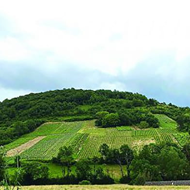 Circuit équestre Les Côteaux du Revermont