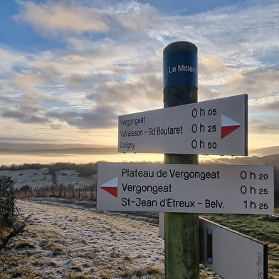 Randonnée - Coligny et le plateau de Vergongeat