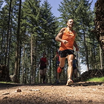 Circuit de Trail: Boucle n°3 de Moux-en-Morvan - MOUX-EN-MORVAN