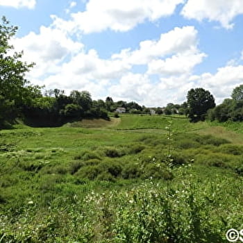 Boucle des milieux naturels du marais de Saône - SAONE