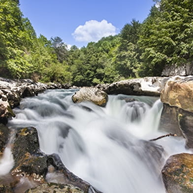 Parcours VTT 24 rouge - Gratteloup-Coz - Espace FFC Ain Forestière
