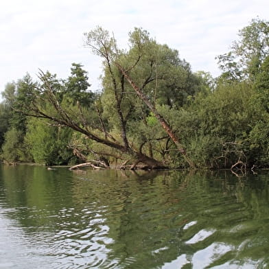 Valleroy et les berges de l'Ognon