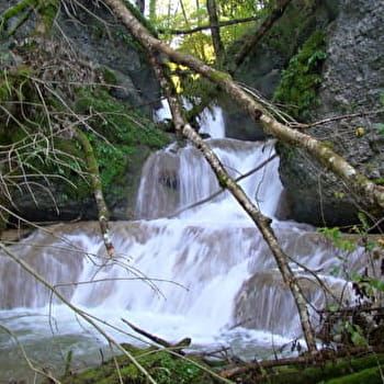 Waroly - ORGEANS-BLANCHEFONTAINE