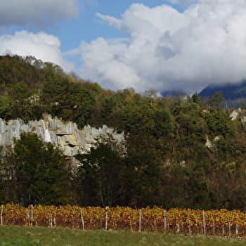 Domaine Collomb - VALROMEY-SUR-SERAN