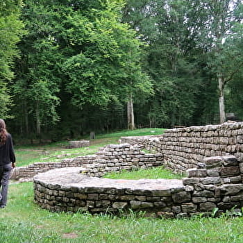 Circuit de randonnée : Circuit du site de Compierre - Saint Révérien