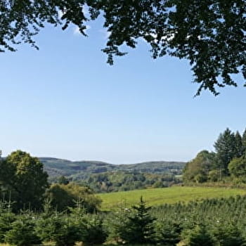 Circuit de randonnée : Boucle de la pierre à Boron - PLANCHEZ