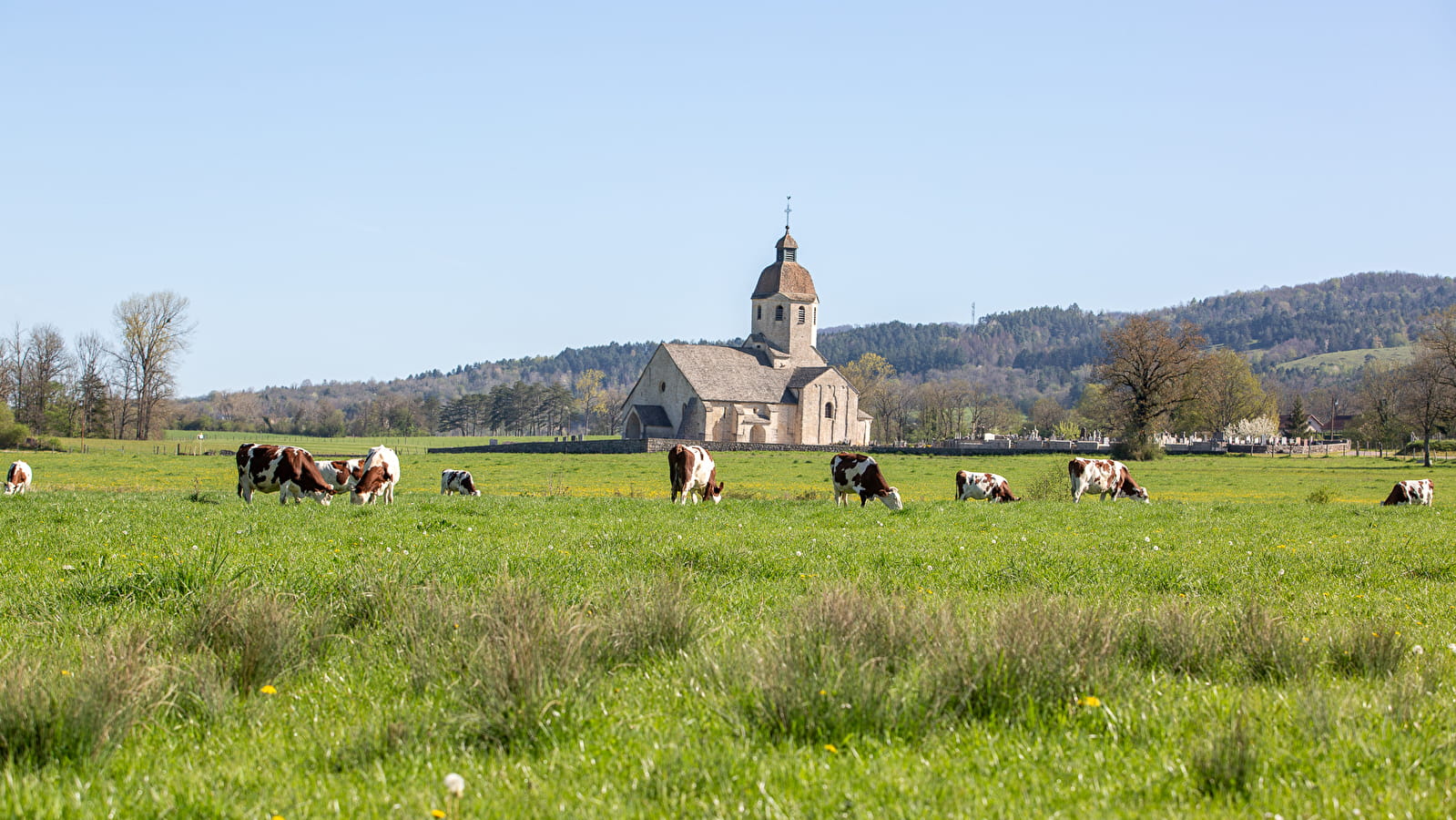 Les Gorges de la Valouse - 50B