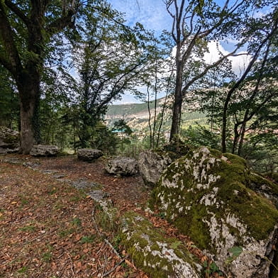 Parcours initiation Cani'trail de Nantua