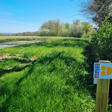 Circuit VTT-VTC n°15 (rouge) - Grand tour de la Haute Bresse