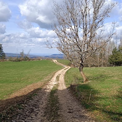 Belvédère du Peu (Parcours facile)
