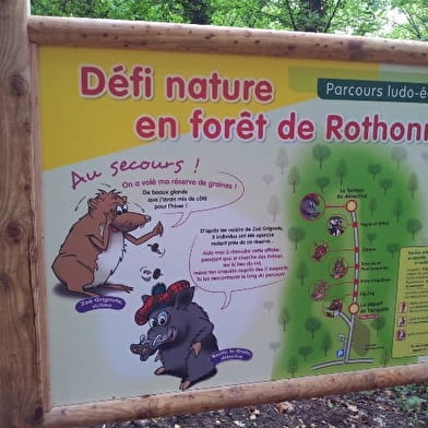 Circuits de randonnée pédestre de la forêt de Rothonne