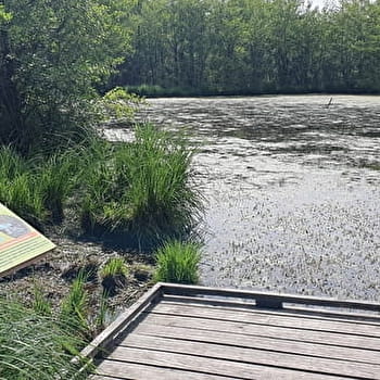 Randonnée Etangs de Bizadan et de But - Voie royale - BRESSE VALLONS