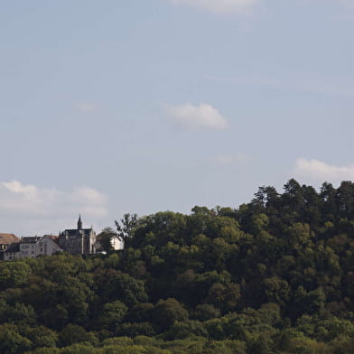 La Biodiversité au fil de la Via Francigena