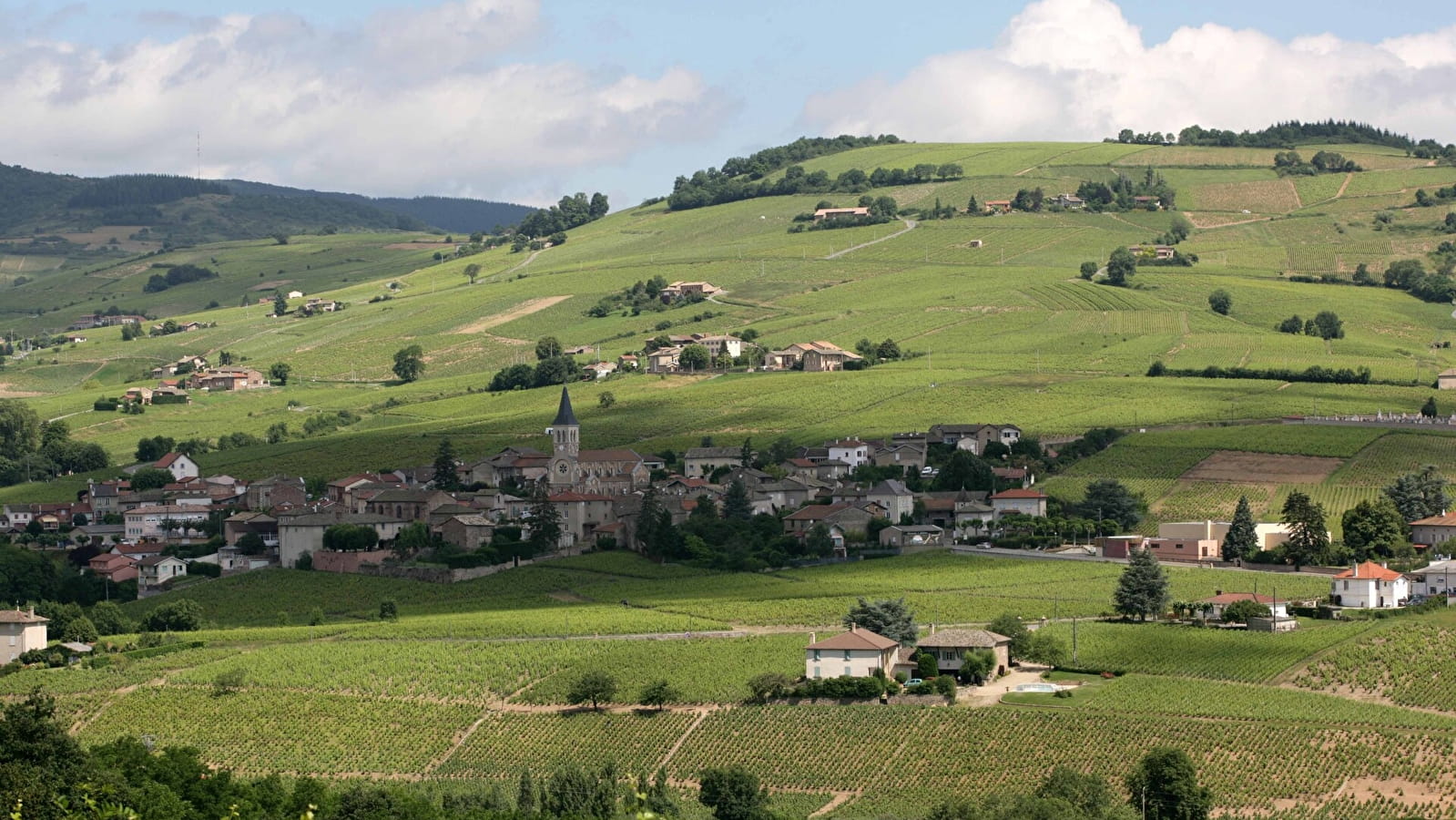 Circuit du Mont Fetraud