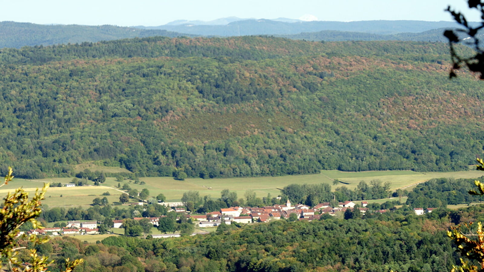Chavuissiat le petit, Corcelles et le bois vert