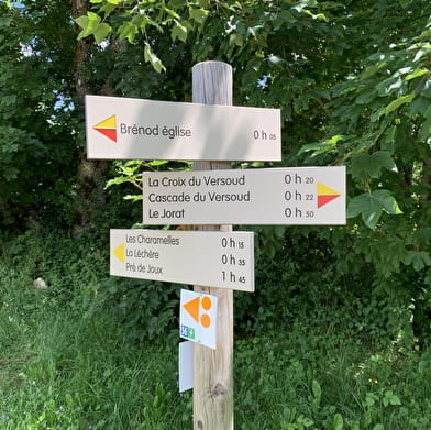 Randonnée - La ronde des étangs Marron