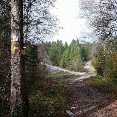 Le circuit des dinosaures