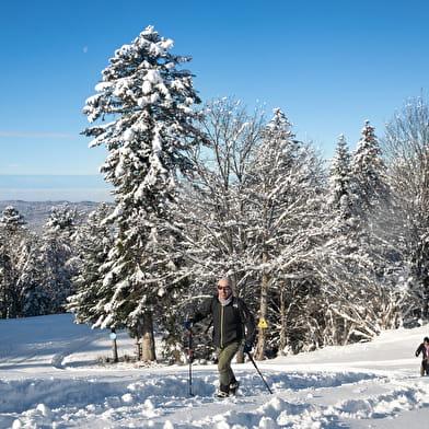 Le col de Curnillon depuis Terre Ronde - Circuit raquettes